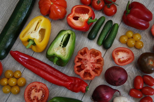 Mixpakket diverse planten