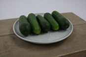 Snackkomkommer planten
