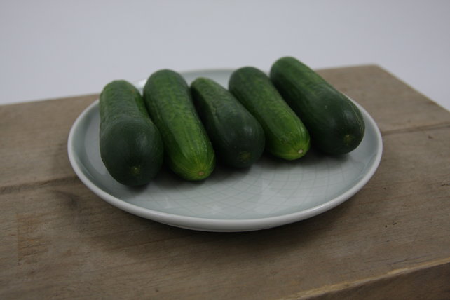 Snackkomkommer planten
