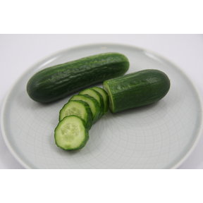 Geënte snack komkommer (8 planten)
