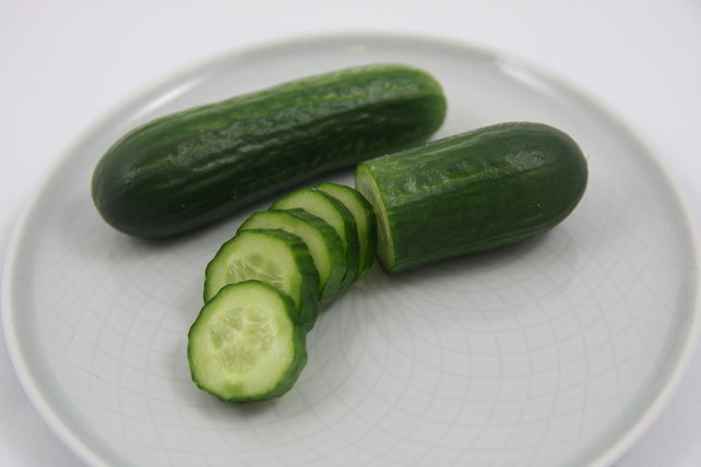 Snackkomkommer planten