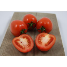 Geënte Pruimtomaten (Roma)