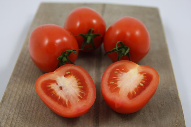 Geënte Pruim, Roma tomaten planten