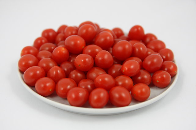 Geënte Tomberry tomaten planten Geënte Tomberry tomaten planten