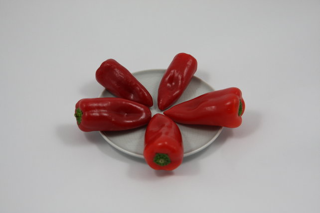 Snackpaprika rood planten