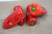 Snackpaprika rood planten