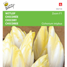 Witlof Brusselse Zoom F1