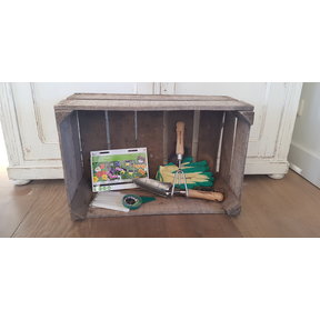 Cadeaupakket ''Allround moestuin pakket''