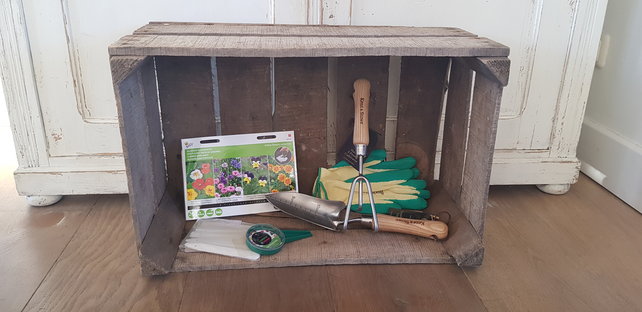 Cadeau pakket moestuinplant