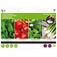 Moestuinplant Buzzy Zaadmatjes Salade
