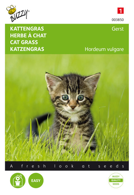 Kattengras Gerst
