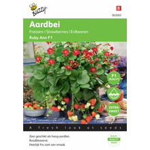 Hangaardbei Ruby Ann