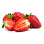 Moestuinplant Aardbeien planten (8 planten)