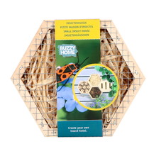 Home Hexagon Insecten