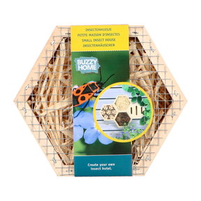 Home Hexagon Insecten
