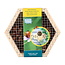 Moestuinplant Home Hexagon Lieveheersbeestjes