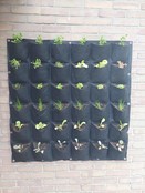 Verticale tuin met 36 vakken Verticale tuin met 36 vakken