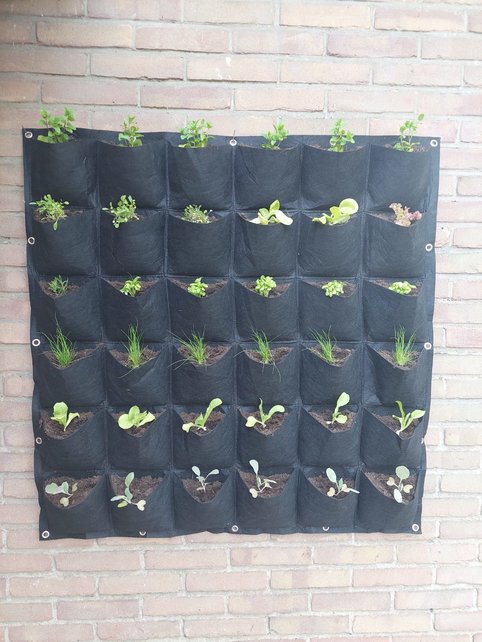Verticale tuin met 36 vakken Verticale tuin met 36 vakken