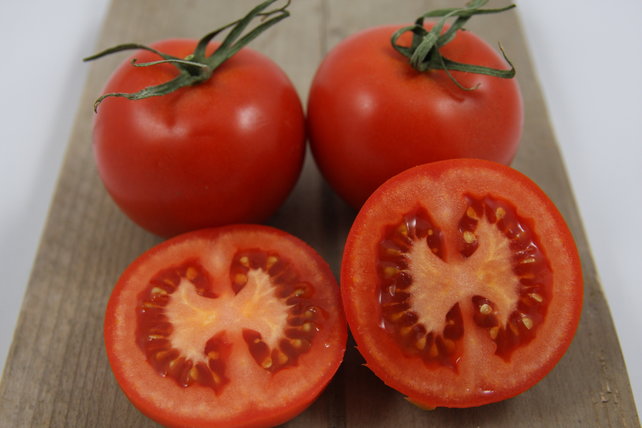 Geënte tros tomaten planten Geënte tros tomaten planten