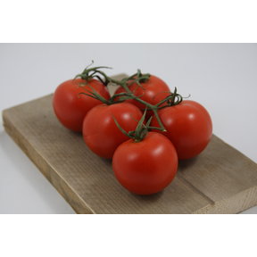 Geënte trostomaten (8 planten)