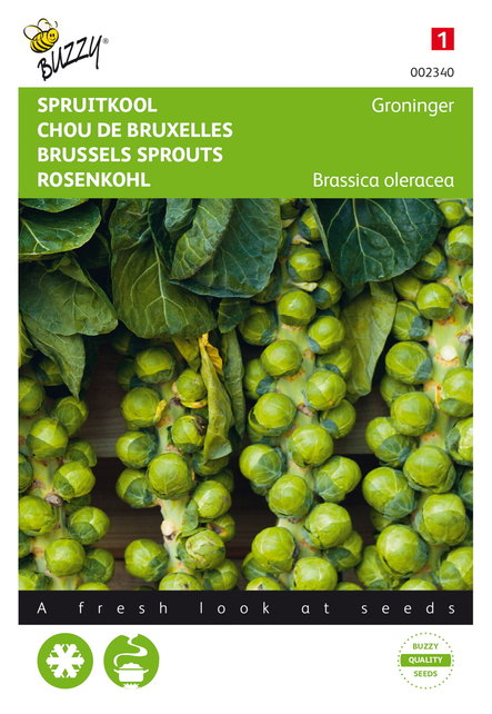 Spruitkool Groninger