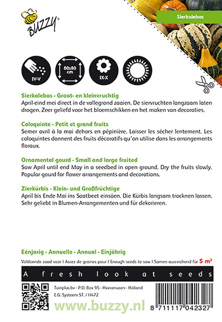 Pompoen Sierkalebassen Pompoen Sierkalebassen