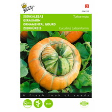 Pompoen Sierkalebas - Turkse muts