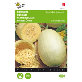 Pompoen Zaden Vegetarische spaghetti