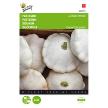 Pompoen Patisson zaden