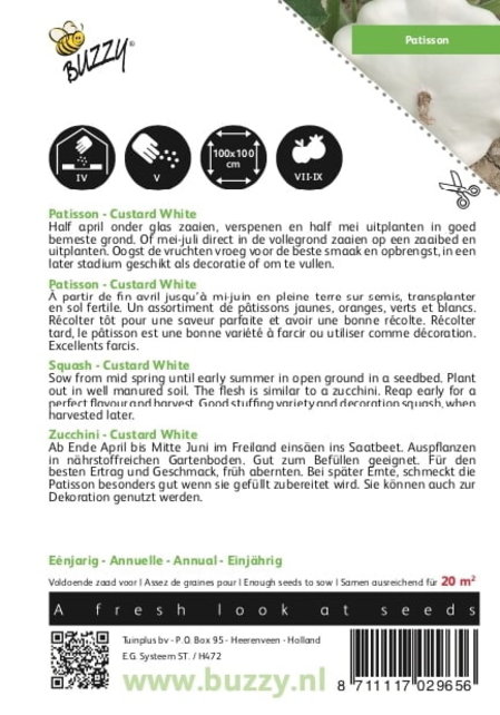 Pompoen Patisson - Custard White Pompoen Patisson - Custard White