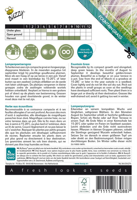 Siergras - Lampenpoetsersgras Siergras - Lampenpoetsersgras