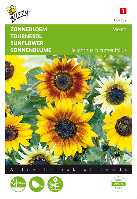 Zonnebloem - Helianthus gemengd