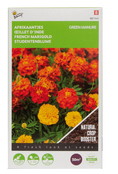 Groenbemester Afrikaantjes - Tagetes (50g)