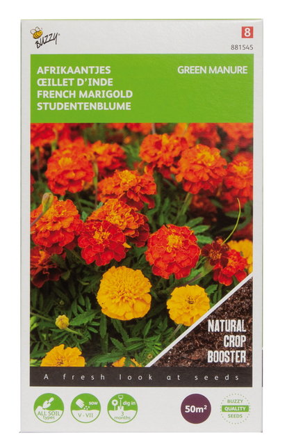 Groenbemester Afrikaantjes - Tagetes (50g)