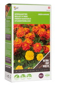 Groenbemester Afrikaantjes - Tagetes (50g)