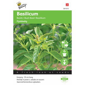 Basilicum fijne