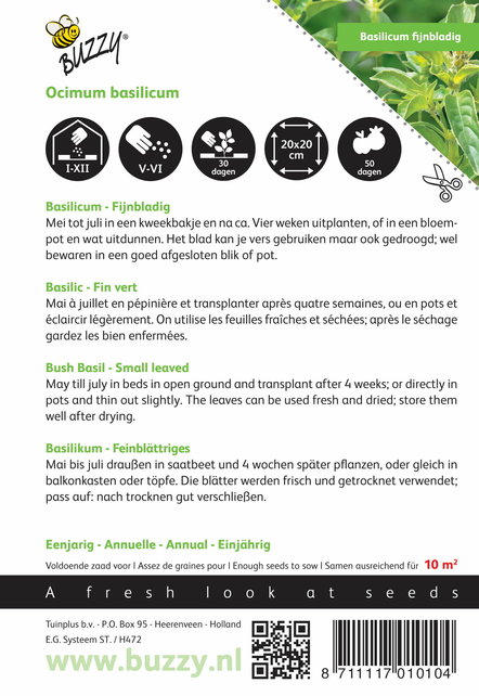 Basilicum fijne