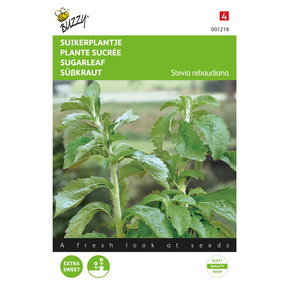 Stevia, Suikerplantje of Honingkruid