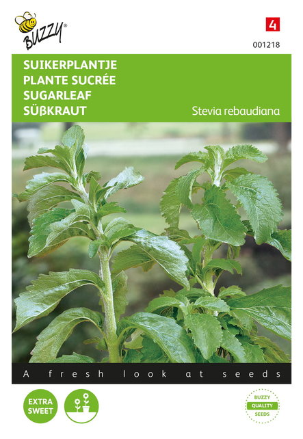 Stevia, Suikerplantje of Honingkruid Stevia, Suikerplantje of Honingkruid