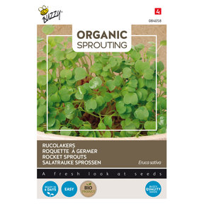 Sprouting Rucolakers