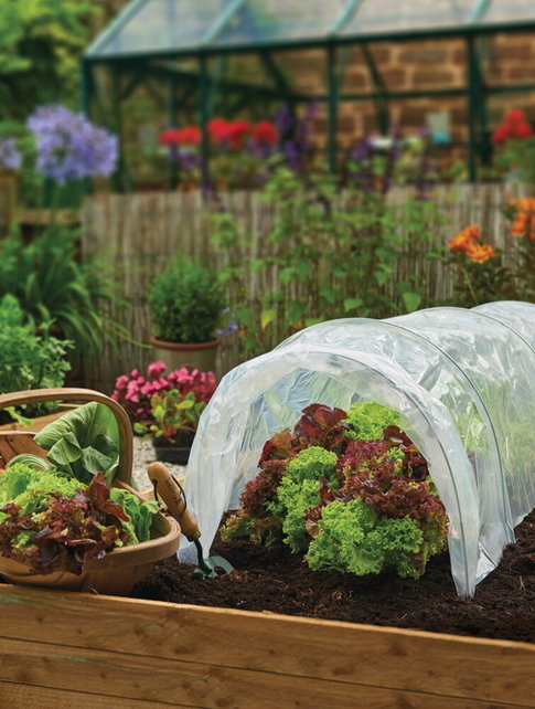 SOGO Kweek tunnel met polyethyleen folie SOGO Kweek tunnel met polyethyleen folie