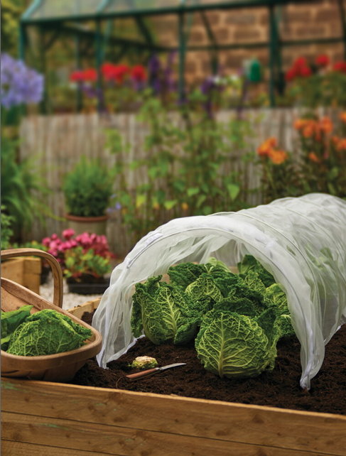 Grow-it Kweektunnel met insectengaas