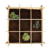 Vierkante meter moestuin hout