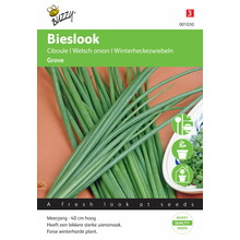 Bieslook Grove Zaden