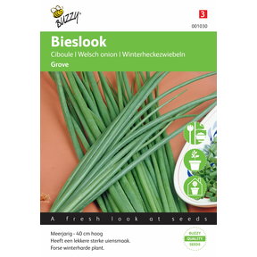 Bieslook Grove Zaden
