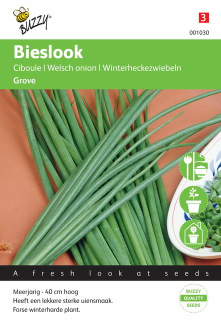 Bieslook Grove kruidenzaden Bieslook Grove kruidenzaden