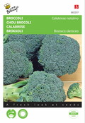 Broccoli Calabrese natalino