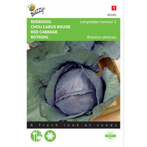 Rode kool Langedijker Bewaar 2