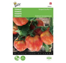 Tomaten Striped Stuffer F1