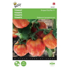 Tomaten Striped Stuffer F1